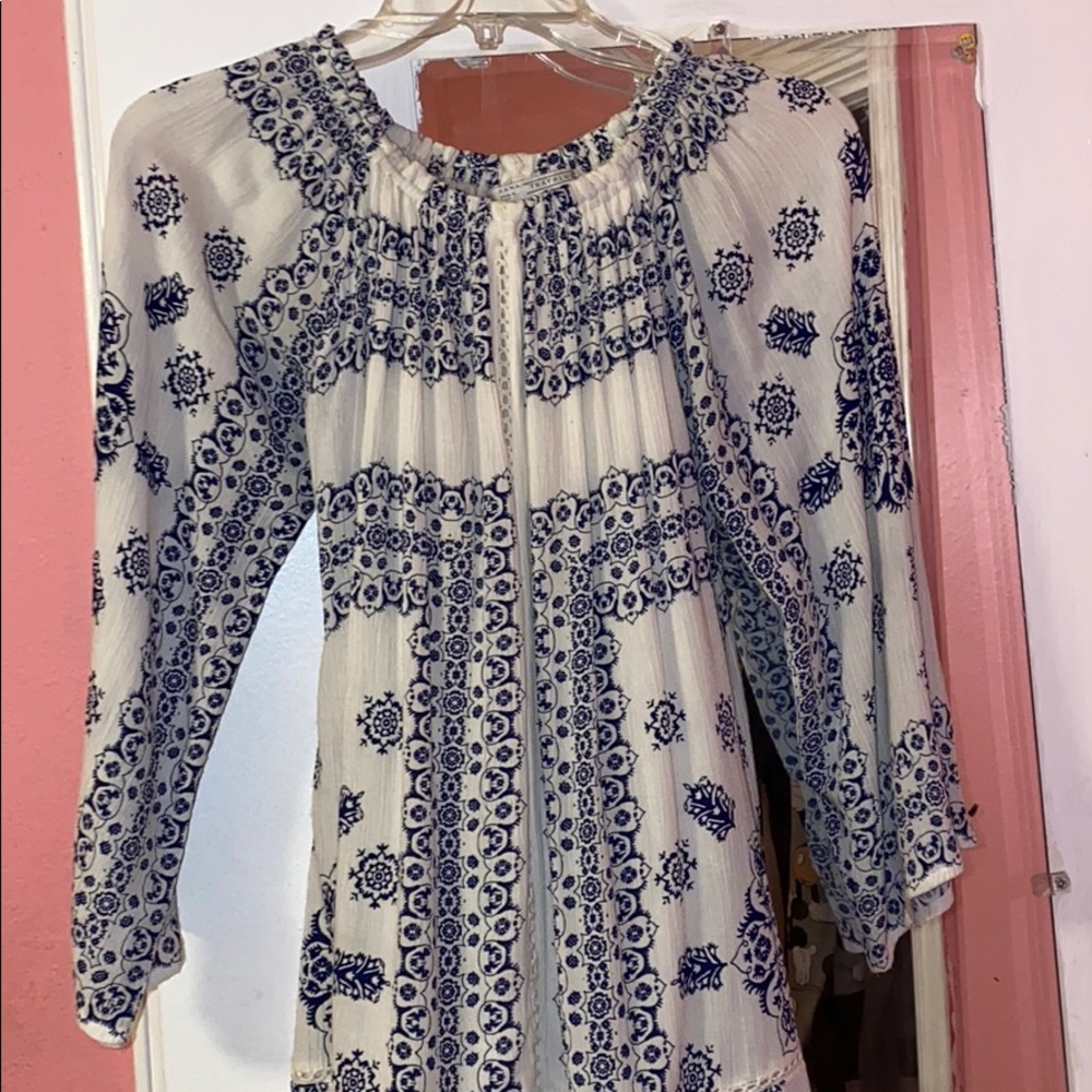 Zara Trafaluc Embroidered Dress